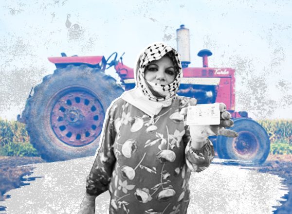 إذا ما قدر لك زيارة تريحا، ورؤية سيدة تقود جرار زراعي في الشارع، فهي بالتأكيد "أم أحمد" لا سواها، التي تعتبر أول امرأة فلسطينية تحصل على رخصة