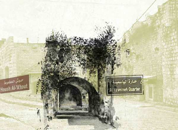 العطعوط